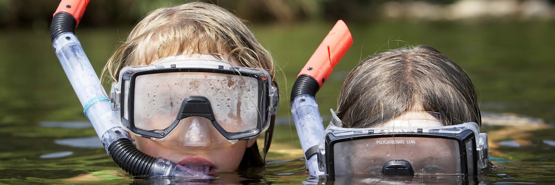 So many fun activities to do at and around Tamarac Bay Resort in Rochert, Minnesota.